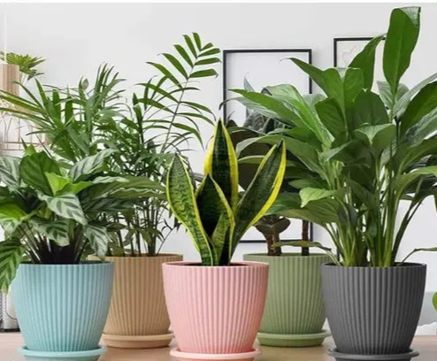 Plastic Round Flower Pots for Home Planters, Terrace, Garden Etc | Pack of 05 Plant Container Set (Pcs05 Plastic)