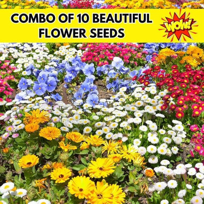 150 Variety of Organic Flower Seeds