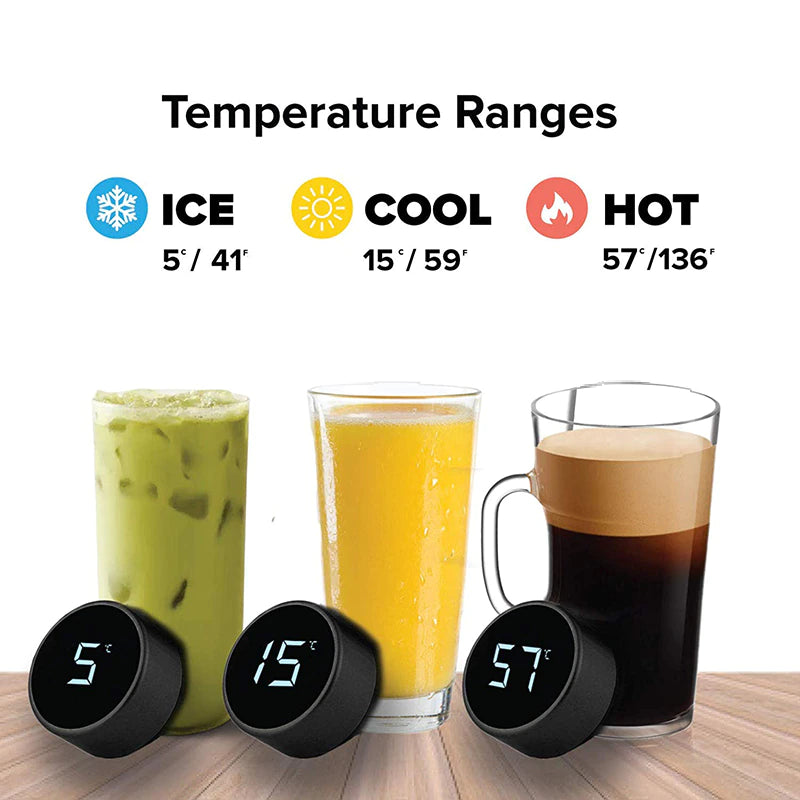 Smart Stainless Steel Temperature Display Water Bottle