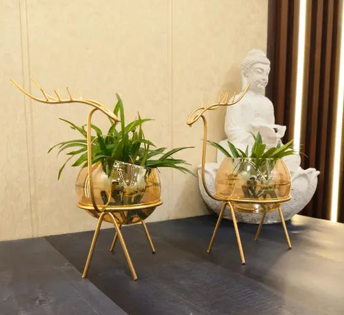 New Innovative Handicrafts Modern Glass Plant Holder For Home Decoration Metal Gold Hydroponic Plants Stand For Living Room / Bedroom / Table Top Display (pack Of 2 )